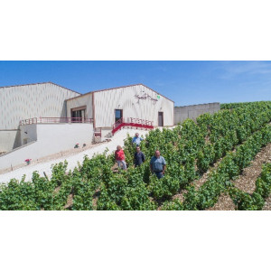Domaine DAUNY