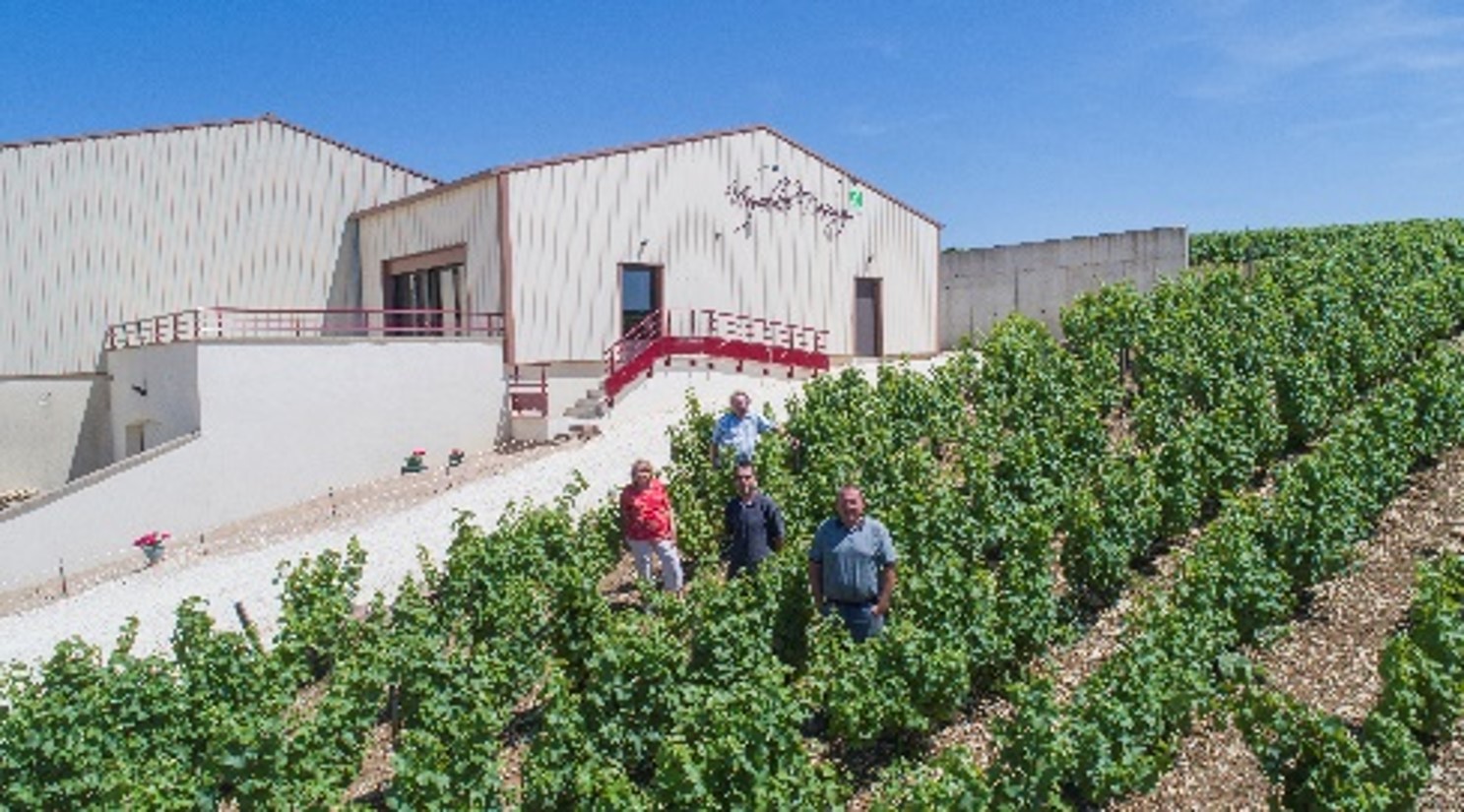 Domaine DAUNY