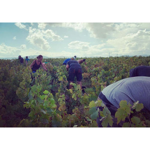 DOMAINE DE L'EGLANTINE