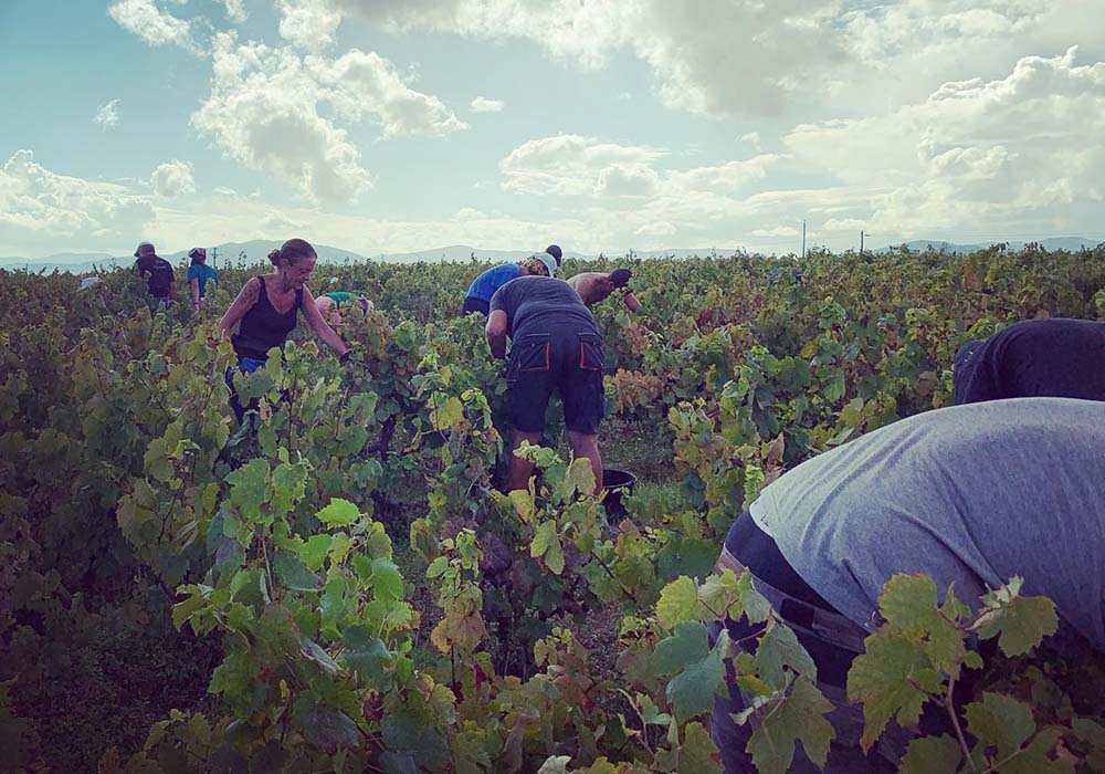DOMAINE DE L'EGLANTINE