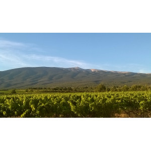 Domaine GRANGE DE LOUISET