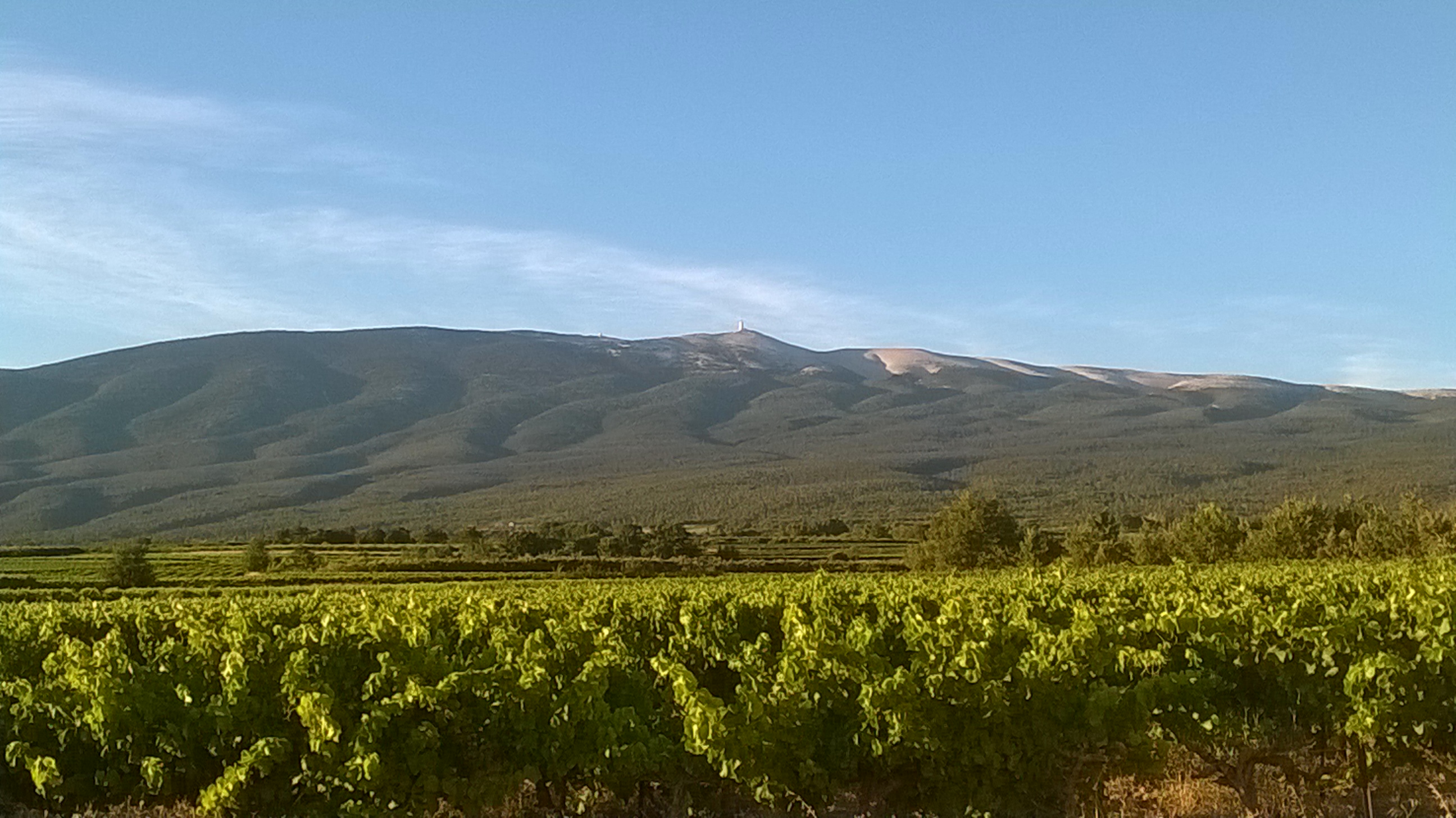 Domaine GRANGE DE LOUISET