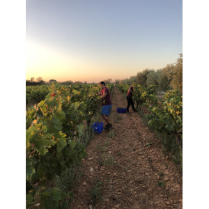 DOMAINE BELLE D'ARGENCE