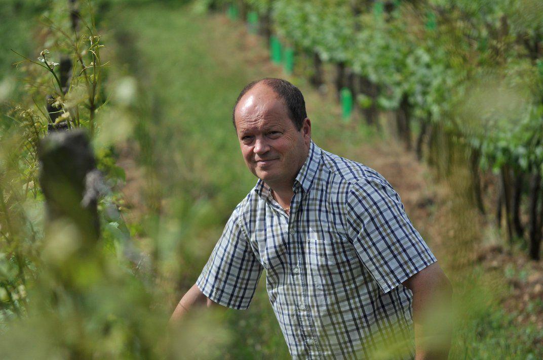 DOMAINE PATRICK HUDELOT